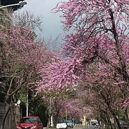 بيت للعطل Attico Aventino روما