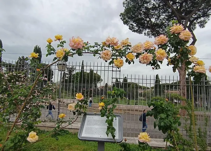 Attico Aventino Casa vacanze *