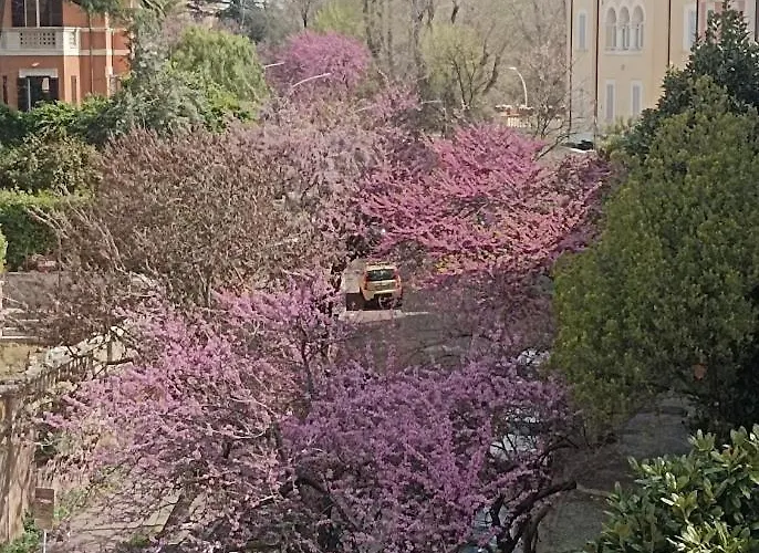 Attico Aventino Casa vacanze Roma