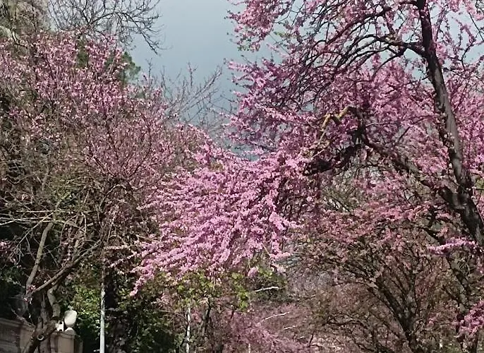 Casa vacanze Attico Aventino Roma